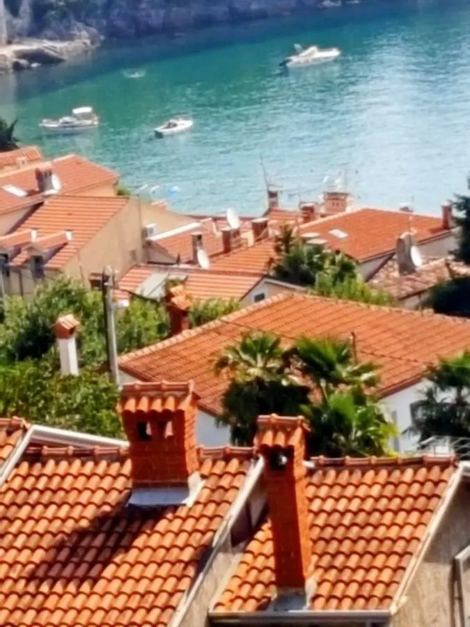 Apartments Danijel オパティヤ