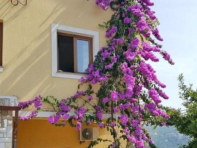 Apartments Danijel Opatija Chorvatsko